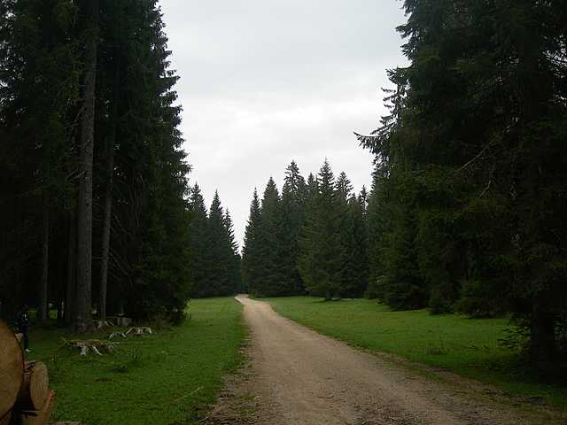 Avventura  nel  Pianeta  Jurassiano